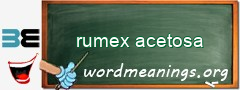 WordMeaning blackboard for rumex acetosa